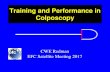 Training and Performance in Colposcopy€¦ · Quality standards ABSTRACT Objective: Optimization of colposcopy practice requires a program of quality assurance including the monitoring