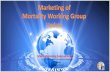 MWG Marketing Subcommittee€¦ · MWG website visiting statistics 5 Average number of page views per month reduced from around 980 per month from November 2016 till March 2017 to