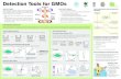 Detection Tools for GMOs - geacindia.gov.ingeacindia.gov.in/.../17_6-Detection_Tools_for_GMOs... · Detection Tools for GMOs WHAT IS A GMO? A genetically modified organism (GMO) or