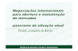 Negociações internacionais para abertura e manutenção de ... · Negociações internacionais para abertura e manutenção de mercados panorama da situação atual Rinaldo Junqueira
