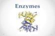 Enzymes€¦ · 4) Enzymes lower activation energy & speed up reactions by: • acting as template for substrate orientation • Stressing substrate & stabilizing transition state