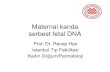 Maternal kanda serbest fetal DNA · Maternal Kanda fetal DNA • Tek kopya fetal DNA •Lo YM, Lancet, 1990 • Rh geni •Lo YM, Lancet, 1993 • Cinsiyet tayini (Y krom) •Lo YM,