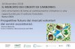 18 Dicembre 2018 IL MERCATO DEI CREDITI DI CARBONIO...2018/12/10  · delle aree forestali e nel miglioramento della redditività delle foreste 155.303.978 77.609.790 Misura 15 - Servizi