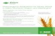 Preemergence Applications for Winter Wheat in Idaho ... · Title: Preemergence Applications for Winter Wheat in Idaho, Montana, Oregon, and Washington (English, pdf) Created Date: