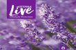 Lifestyle Overview · Live a Wellness Lifestyle dōTERRA’s Wellness Lifestyle Pyramid illustrates how wellness is a combination of lifestyle and healthcare. When lifestyle is the