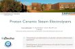 Proton Ceramic Steam Electrolysers · Proton Ceramic Steam Electrolysers Einar Vøllestad1, R. Strandbakke1, Dustin Beeaff2 and T. Norby1 1University of Oslo, Department of Chemistry,