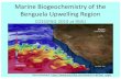 Marine Biogeochemistry of the Benguela Upwelling Region€¦ · Outline •Benguela upwelling region and its Oxygen Minimum Zone (OMZ) •Marine nitrogen cycle in the OMZ •Sulfur