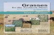 Grasses for the Northern Plains: Growth Patterns, Forage ...chesakseedhouse.com/wp-content/uploads/2018/04/... · Growth Patterns, Forage Characteristics and Wildlife Values Kevin