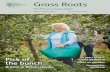The RHS Community Update · rhs.org.uk/communities Issue 31 • Autumn 2017 rhs.org.uk/communities Grass Roots The RHS Community Update ... women from more than 30 different countries.