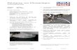 Reinigung von Klimaanlagen - LIQUI MOLY · Fahrzeug: Fiat Stilo Baujahr: 2001 - 2008 Benötigte Werkzeuge: - LIQUI MOLY Reinigungspistole / -sonde (Art.-Nr. 4090) - LIQUI MOLY Klima-Anlagen-Reinigungs-