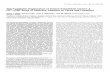 The Functional Organization of Human Extrastriate Cortex ...haxbylab.dartmouth.edu/publications/HHU+94.pdf · all tasks used the same basic configuration of three large white squares