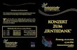 Erntedank 021011 Programm - musikschule-lauffen.demusikschule-lauffen.de/wp-content/uploads/2011/09/Erntedank-0210… · • Piano Boogie Günter Loy KeyboardNicolas Stern - • Domino