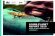 LIVING PLANET REPORT 2020 - Footprint Network · our relationship with the planet to preserve the Earth’s amazing diversity of life and enable a just, healthy and prosperous society
