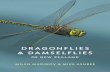 Contents - University of Auckland€¦ · Damselflies and dragonflies in the natural world 1 ... water habitats, damselflies and dragonflies will be among the first to ‘tell’