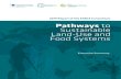 2019 Report of the FABLE Consortium Pathways to ... · 2019 Report of the FABLE Consortium Pathways to Sustainable Land-Use and Food Systems Executive Summary