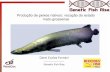 Produção de peixes nativos: vocação do estado mato-grossense Sebrae/UFs/MT/Darci Forn… · Produção de peixes nativos: vocação do estado mato-grossense . Fonte: BNDS setorial,