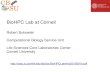 BioHPC Lab at Cornellcbsu.tc.cornell.edu/lab/doc/BioHPCLabIntro20120910.pdf · 10.09.2012  · 3 Linux interactive workstations (large monitors). Dell Precision T3500n, Quad Core