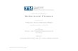 SEMINARARBEIT Behavioral Finance - TU Wien sgerhold/pub_files/sem19/s_blaha.pdfآ  Behavioral Finance