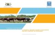 NATIONALLY APPROPRIATE MITIGATION ACTION ON CLIMATE … and Ene… · NATIONALLY APPROPRIATE MITIGATION ACTION ON CLIMATE SMART DAIRY LIVESTOCK VALUE CHAINS IN UGANDA1 TABLE OF CONTENTS