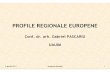 PROFILE REGIONALE EUROPENE - regionalizare.mdrap.roregionalizare.mdrap.ro/wp-content/uploads/2013/04/2aprilie_profile-r… · 2 aprilie 2013 Academia Român 2 1.Regiunea (defi nicii)