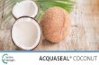 ACQUASEAL® COCONUT - Active Concepts, LLC · coconut lipids. • Coconut oil is now making its mark in the personal care market as the more effective alternative to mineral oil: