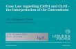 Case Law regarding CMNI and CLNI - the Interpretation of ...€¦ · CMNI – Budapest Convention 2000 Athens Convention 2002 CMR as model for the German Commercial Code (HGB) Rhine