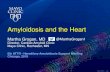 Amyloidosis and the Heart · Cardiac Amyloidosis - Summary •Amyloid - stiff heart - hard to fill •Heart Failure and Rhythm problems •Heart function is complex - a single number