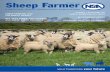 Sheep Farmer€¦ · making export conditions difficult for us and import conditions easier for those selling lamb to the UK. These conditions have brought a very sharp focus on the
