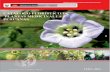 bvs.ins.gob.pebvs.ins.gob.pe/insprint/CENSI/catalogo_floristico_plantas_medicinaleآ  Author: Edgar Pablo