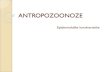 ANTROPOZOONOZE · 2020. 4. 21. · Infektivne bolesti koje se u prirodnim uslovima prenose sa životinja (kičmenjaka) na čoveka. (Last, 2001) Znaaj: - Broj entiteta se povećava