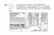 Assessments of Wildlife Viability, Old-Growth Timber ... · forested wetlands, and slope stability are presented. These assessments were used in the formulation of alternatives in