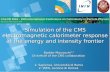 Simulation of the CMS electromagnetic calorimeter response ...€¦ · CMS Experiment Badder Marzocchi ECAL: Compact, homogeneous, hermetic and fine grain calorimeter - Embedded in