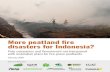 More peatland fire disasters for Indonesia? · The peat protection zones include large areas in Sumatra and Kalimantan that had been drained for industrial pulpwood plantations (hutan