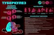 туберкулез - dgp6.rudgp6.ru/wp-content/uploads/2020/03/tuberkulez-1.pdfПрививка БЦЖ-М. Прививка делается детям на 3 – 7-е сутки