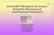 New Ames MPF Mutagenicity Assay: Scientific Background and … · 2017. 1. 24. · pKM101 plasmid that allows for error-prone DNA repair . Ames MPF S. typhimurium and E. coli strains
