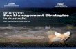 Improving Fox Management Strategies in Australia...fox baiting should be encouraged, it is also important to ensure that such baiting is conducted effectively, particularly considering