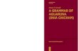 Simon E. Overall A GRAMMAR OF AGUARUNA (IINIÁ CHICHAM) · 2017. 2. 27. · Bernard Comrie Matthew S. Dryer Patience L. Epps Volume 68. Simon E. Overall A Grammar of Aguaruna (Iiniá