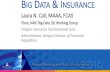 Laura N. Cali, MAAA, FCAS · © 2016 American Academy of Actuaries. All rights reserved. BIG DATA & INSURANCE Laura N. Cali, MAAA, FCAS Chair, NAIC Big Data (D) Working Group Oregon