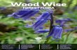 Wood Wise · 4 Wood Wise • Woodland Conservation News • Spring 2018 Wood Wise • Woodland Conservation News • Autumn 2018 5 Questioning ancient woodland indicators Julia C.