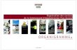 ORGANIGRAMME (s)€¦ · Janvier 2019 ORGANIGRAMME (s) Organisation des services de la Communauté d’Agglomération Pays Basque Organigramme général & organigrammes détaillés