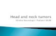 Klinika Neurologii i Pediatrii WUM...ØCHONDROMAS: ethmoid sinuses, maxillary sinuses, nasal septum ØOSTEOMAS: quite often, localization- frontal and ... maxillary sinus and neck,
