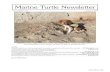 Marine Turtle NewsletterMatthew H. Godfrey NC Sea Turtle Project NC Wildlife Resources Commission 1507 Ann St. Beaufort, NC 28516 USA E-mail: mtn@seaturtle.org Kelly R. Stewart The