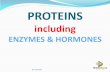 PROTEINS - GIFSgifs.africa/wp-content/uploads/2020/06/Life-Science-Proteins-Notes.… · Proteins are made up of the elements carbon, hydrogen, oxygen and nitrogen. They may also