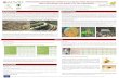 MONITORING ARTHROPOD DIVERSITY IN DOURO WINE REGION ... · The landscape of the Douro Demarcated Region (DDR), unlike other world wine growing areas, offers a strong potential from