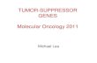 TUMOR-SUPPRESSOR GENES Molecular Oncology 2011njms.rutgers.edu/gsbs/olc/molonc/prot/2011/... · 2011. 2. 23. · signaling pathway. PTEN negatively regulates intracellular levels