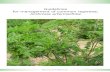 Guidelines for management of common ragweed, Ambrosia ...internationalragweedsociety.org/.../uploads/...AMBROSIA-EUPHRESC… · 2 About the publication The guidelines for management