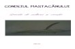 New CONDEIUL MASTACĂNULUIscoalamastacan.ro/images/stories/revista/revista_iun2013.pdf · 2013. 7. 12. · Taine (Taina Spovedaniei și Sf. Taină a Euharistiei). 8. CULTURAL EDUCATIV
