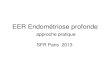New EER Endométriose profonde · 2013. 11. 20. · ENDOMETRIOSE Localisations distantes Endométriose péritonéale (cicatrices, ombilic, thorax ….) Endométriose profonde (rétro-cervicale