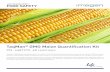TaqMan GMO Maize Quantification Kit - UAB Barcelona · TaqMan® GMO Maize Quantification Kit PN. 4481972, 48 reactions TaqMan® GMO Maize Quantification Kit, uses Real-Time PCR technology