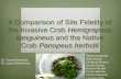 A Comparison of Site Fidelity of the Invasive Crab ......Brousseau, Diane J., Jenny A. Baglivo, Amy Filipowicz, Laurie Sego, and Charles Alt. "An Experimental Field Study of Site Fidelity